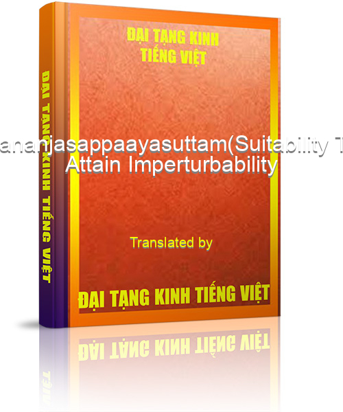 Đại Tạng Kinh Việt Nam